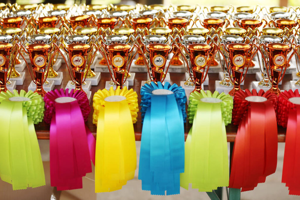 Groupe de magnifiques trophées et rubans colorés pour les gagnants et les participants à un événement équestre en plein air       - Photo, image