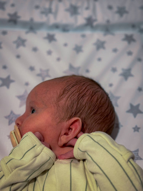 Ένα όμορφο πορτραίτο ενός νεογέννητου αγοριού. Αυτή η φωτογραφία τραβήχτηκε λίγες ώρες μετά την γέννησή της από ένα καισαρικό τμήμα στο νοσοκομείο.. - Φωτογραφία, εικόνα