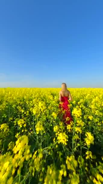 Caucasian woman in red dress walking through scenic yellow rapeseed field in spring - Footage, Video