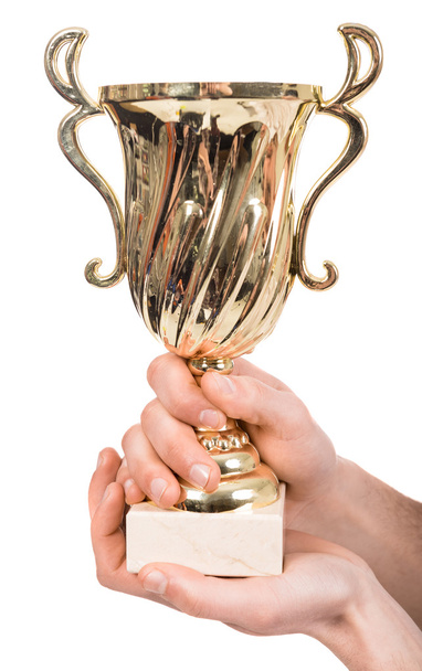 Trophy in hands - Foto, afbeelding