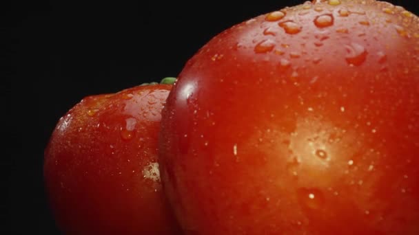 Macrography, tomatoes nestled within a rustic wooden basket are showcased against a dramatic black background. Each close-up shot captures the rich colors and textures of the tomatoes. Comestible. - Footage, Video