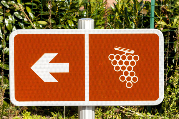 szlaku wina Beaujolais, Rhone-Alpes, Francja - Zdjęcie, obraz