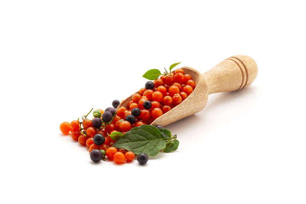 Vista frontal de una cucharada de madera llena de túnica roja orgánica fresca y negra o fruta Makoy (Solanum nigrum). Aislado sobre un fondo blanco. - Foto, imagen