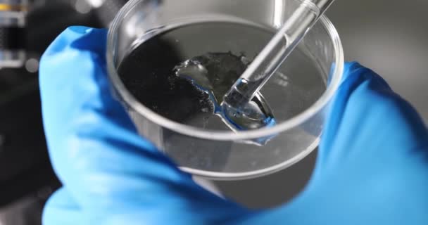 Ученый проверяет характеристики жидкости в пластиковом контейнере. Исследователь в перчатках ищет ценные сведения о физических и химических свойствах - Кадры, видео
