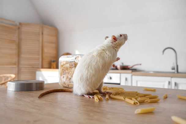Weiße Ratte mit rohen Nudeln auf dem Tisch in der Küche, Nahaufnahme. Konzept zur Schädlingsbekämpfung - Foto, Bild