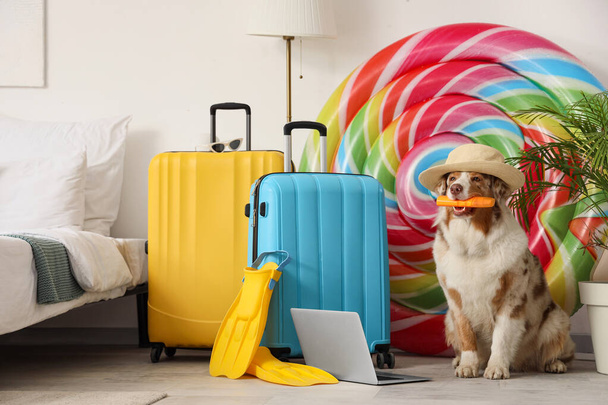 Aranyos ausztrál juhász kutya kalap és naptejszín krém a hálószobában. Utazási koncepció - Fotó, kép