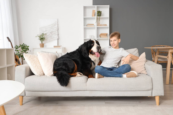 Little boy with Bernese mountain dog sitting on sofa at home - Photo, Image