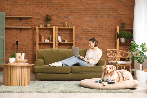 Pretty young woman with laptop and cute Australian Shepherd dog at home - Photo, Image