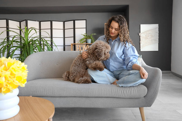 Junge Frau mit lustigem Pudel sitzt zu Hause auf Sofa - Foto, Bild