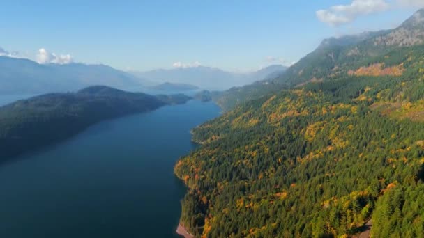 Upea syysmaisema Kanadassa. Antenni näkymä värikäs metsä vuoren rinteillä ja Harrison Lake, British Columbia. - Materiaali, video