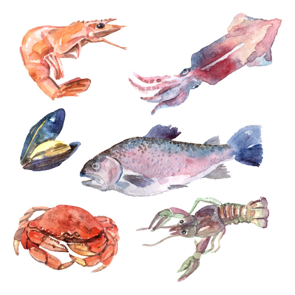 水彩画海食品セット - ベクター画像