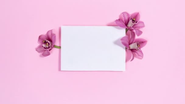 Witte rechthoekige achtergrond is versierd natuurlijke orchideeën en chrysanten bloemen knoppen. Roze achtergrond. Model voor tekst of ontwerp. Moeder- of Vrouwenfeestdagen, bruiloften en andere evenementen. Stop bewegingsanimatie - Video