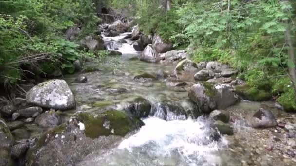 Cours d'eau de montagne dans les montagnes Tatra
 - Séquence, vidéo