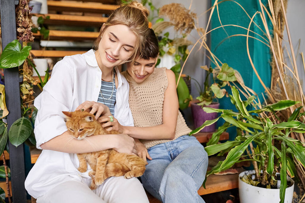 Kaksi naista istuu penkillä halaamassa kissaa.. - Valokuva, kuva