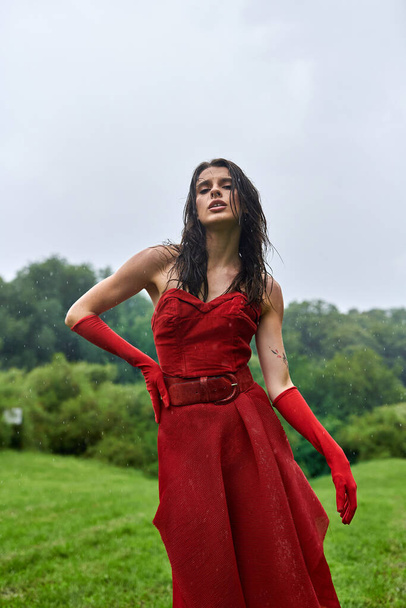 Nuori nainen tulipunaisessa mekossa ja pitkissä käsineissä seisoo kauniisti valtavalla pellolla, syleillen lempeää kesätuulta.. - Valokuva, kuva
