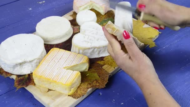 eine junge Frau bereitet eine Scheibe Brot und Käse zu - Filmmaterial, Video