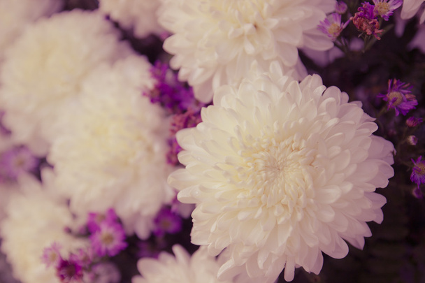 foco suave do buquê de flores de crisântemo branco
  - Foto, Imagem