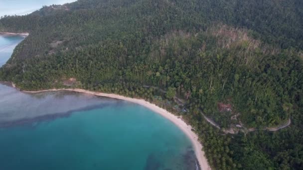 4K Aerial видео беспилотника красивый Белый пляж с большими пальмами и кристально чистой голубой водой на закате времени. Порт-Бартон - Кадры, видео