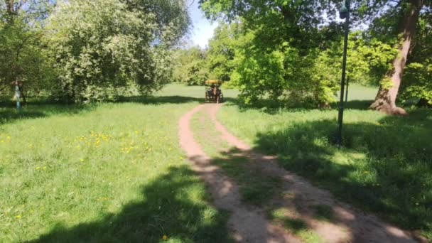 Arrival of the carriage on the forest road. Carriage by horse in the meadow. Summer mood. Country atmosphere. - Footage, Video