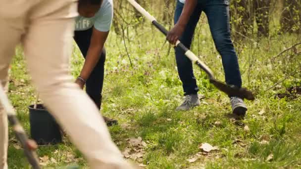 Afrika kökenli Amerikalı aktivistler, doğa koruma için ağaç dikiyorlar, sürdürülebilirlik ve ekosistem koruma konusunda yardımcı oluyorlar. Gönüllü ekip, çevre bakımı ve bitki tohumları için el ele tutuşuyor. Kamera A. - Video, Çekim