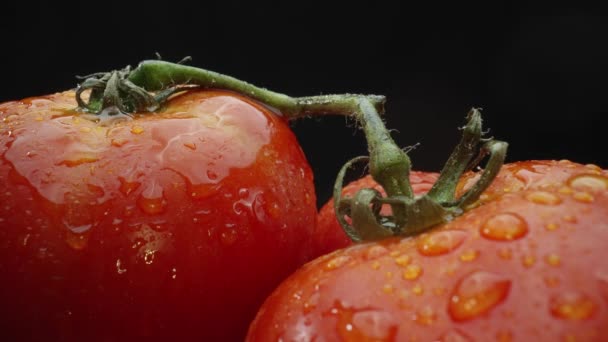 Macrografia, tomates aninhados dentro de uma cesta de madeira rústica são exibidos contra um fundo preto dramático. Cada tiro de close-up captura as cores ricas e texturas dos tomates. Comestível. - Filmagem, Vídeo