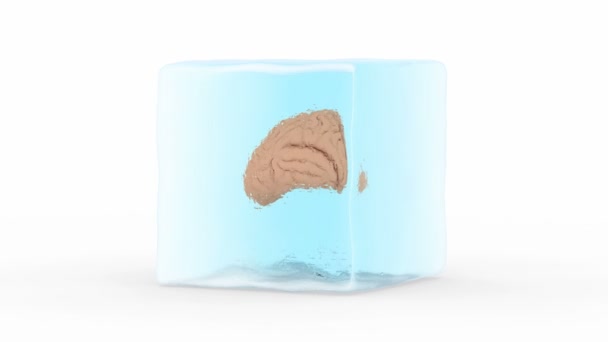 Εγκεφάλου κατεψυγμένο σε ένα μπλοκ του πάγου - Πλάνα, βίντεο