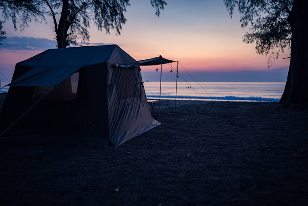 Tentes de camping sur la plage sous les pins, lumière du matin dorée colorée, concept de vie en plein air. - Photo, image