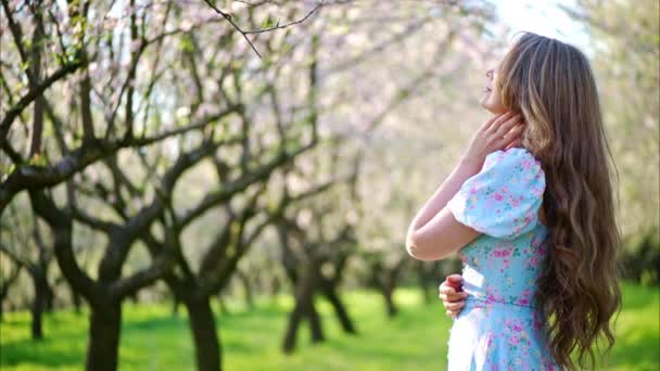 Bruneta žena v modrých šatech na poli kvetoucích mandlovníků - Záběry, video