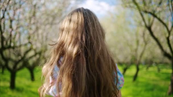 Brunetka kobieta w niebieskiej sukience wirująca na polu kwitnących drzew migdałowych - Materiał filmowy, wideo