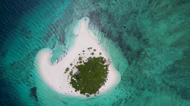 Patawan Adası 'nın güzel beyaz kumlu ve turkuaz mavi sulu 4K Hava Aracı videosu. Sahile demirlemiş kayıklar ve ortasında palmiye ağaçları. Balabac, Filipinler - Video, Çekim