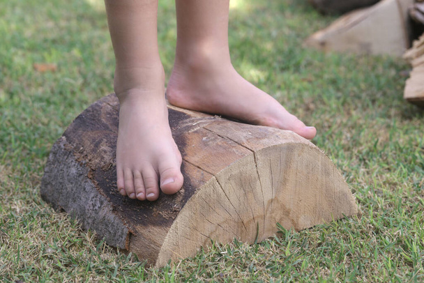 Dětské nožičky na dřevě, bosá holčička na kmeni stromu, venkovský životní styl, koncept uzemnění a propojení s přírodou - Fotografie, Obrázek