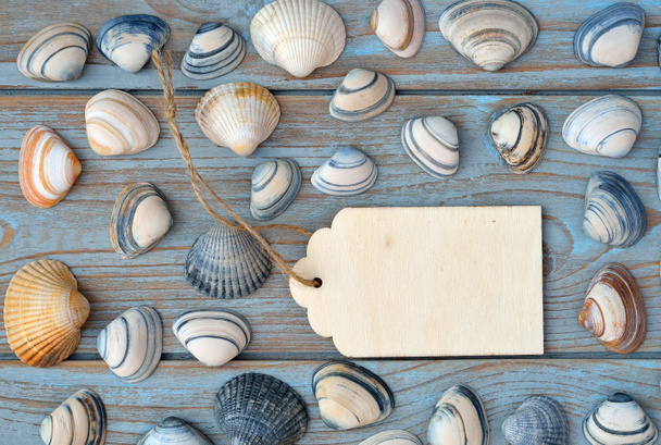 Παραλία και θάλασσα κελύφη σε παλιά γκρίζο μπλε κόμπους ξύλινο υπόβαθρο με ένα λευκό emty πλύνετε ξύλινα ετικέτα για μια παραλία, διακοπές διάθεση σχεδιάγραμμα πινάκων - Φωτογραφία, εικόνα