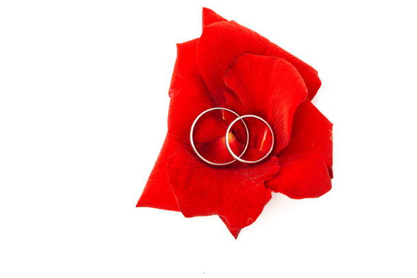 Концепция свадьбы для пригласительного билета. обручальные кольца в лепестках
  - Фото, изображение