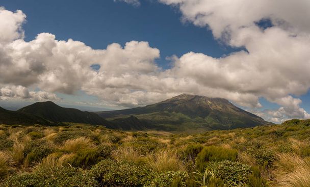 Rehevä natiivi pensas rinteillä Mount Taranaki vaellus ylös Alppien Pouakai Tarns - Valokuva, kuva