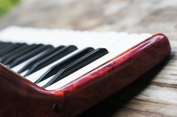 Tastiera di fisarmonica
 - Foto, immagini