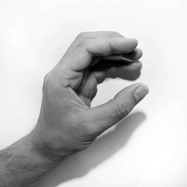 Písmeno C v americkém znakovém jazyce (ASL) pro neslyšící, černobílá černobílá fotografie ruky - Fotografie, Obrázek