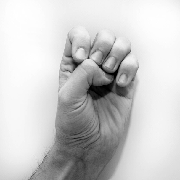 Písmeno E v americkém znakovém jazyce (ASL) pro hluché, černobílá černobílá fotografie ruky - Fotografie, Obrázek