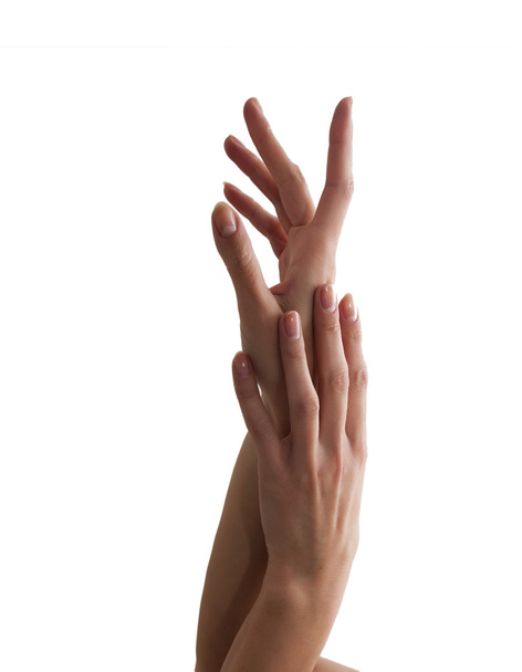 Женские руки
  - Фото, изображение