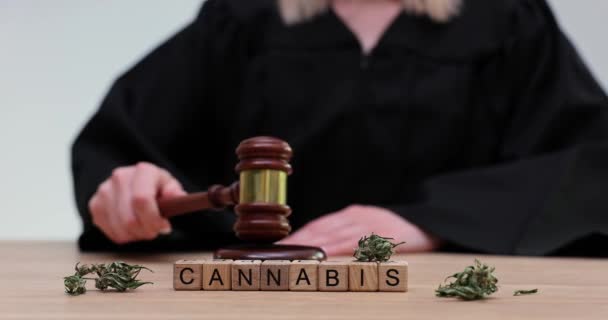 Richter mit trockenen Drogenblättern und Hammer. Rechtlicher Status von Hanf und Cannabis - Filmmaterial, Video