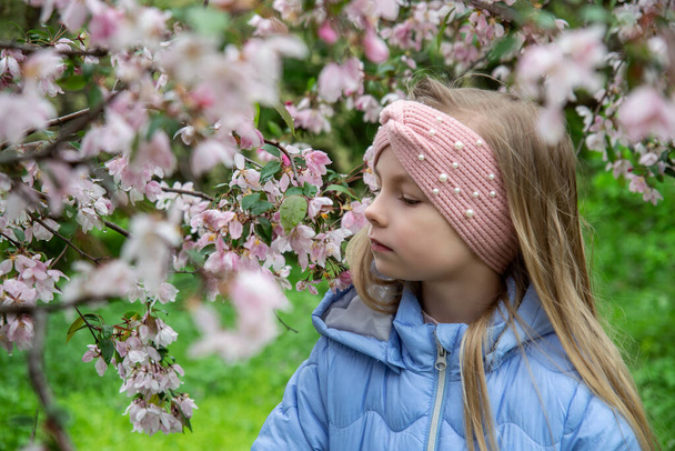 Çiçek açan elma bahçesinde küçük bir kız - Fotoğraf, Görsel