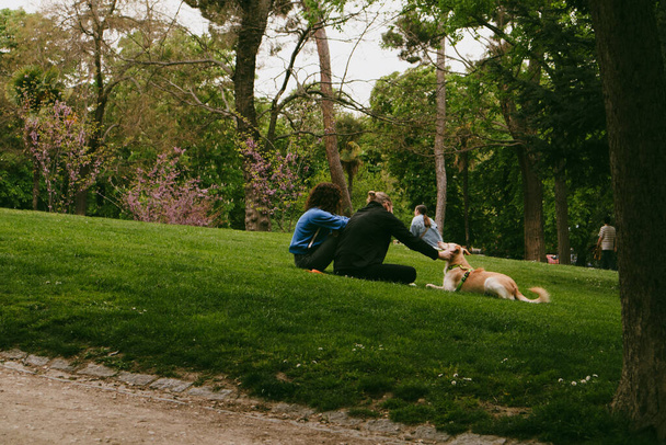 Madrid, Espanha. 1 de abril de 2024. Pessoas relaxando ao ar livre em um parque da cidade no dia de primavera. Uma jovem família de casais com um cão grande. Jogar com um animal de estimação canino.  - Foto, Imagem
