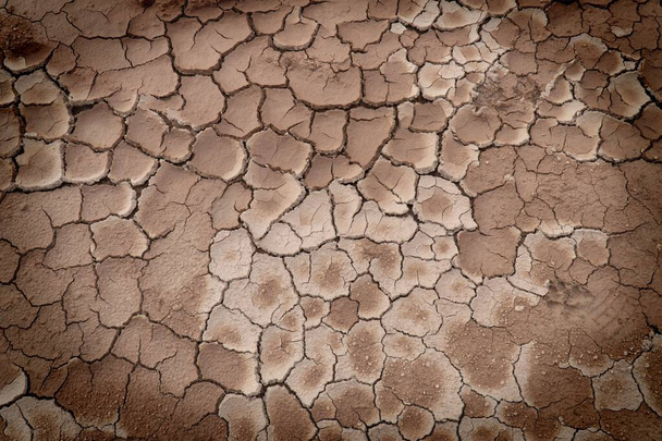 A close up of dry, cracked earth. - Photo, Image