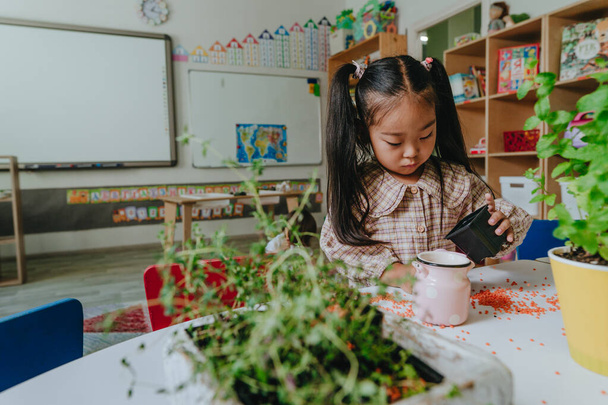 Küçük kız, anaokulunda saksıda bitki yetiştirmeyi ve ev bitkileriyle ilgilenmeyi öğreniyor. Seçici odak. - Fotoğraf, Görsel