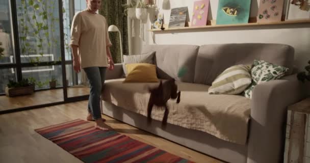 Echtzeit-Seitenansicht einer barfüßigen erwachsenen Frau, die im Wohnzimmer steht, Spielzeug auf den Boden wirft und versucht, sich auf dem heimischen Sofa aus dem Hundemund zu reißen - Filmmaterial, Video