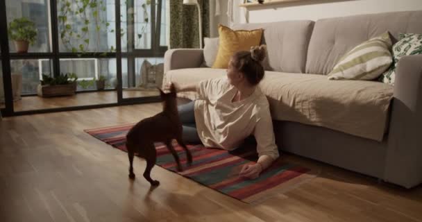 Real time glimlachende vrouw kijken weg terwijl zitten met gevouwen benen op de vloer in de buurt van bank in de woonkamer en speelgoed te laten zien aan springende hond tijdens het spelen met huisdier - Video