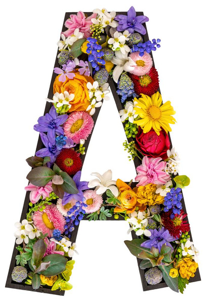 本物の自然の花で作られた手紙Aは,透明な背景に葉を残します. フラワーフォントコンセプト。 文字と数字のユニークなコレクション. 春と夏のクリエイティブアイデア. - 写真・画像