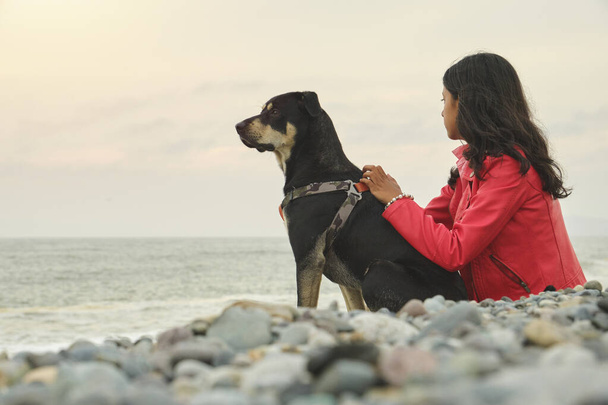 Жінка сидить на пляжі зі своїм собакою. Собака у взутті, і він насолоджується пляжем. Жінка в червоній куртці і, здається, насолоджується видом на океан - Фото, зображення
