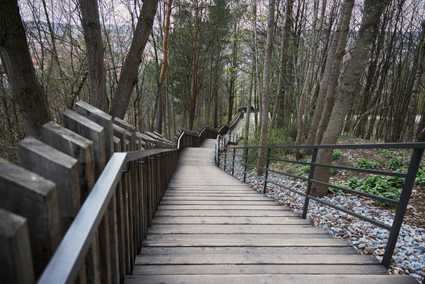 Коричневі дерев'яні сходи в лісі, сходи внизу - Фото, зображення