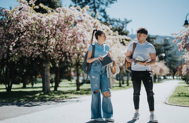 Два молодых студента с рюкзаками учатся и обсуждают заметки в солнечном городском парке, в окружении цветущих деревьев. - Фото, изображение