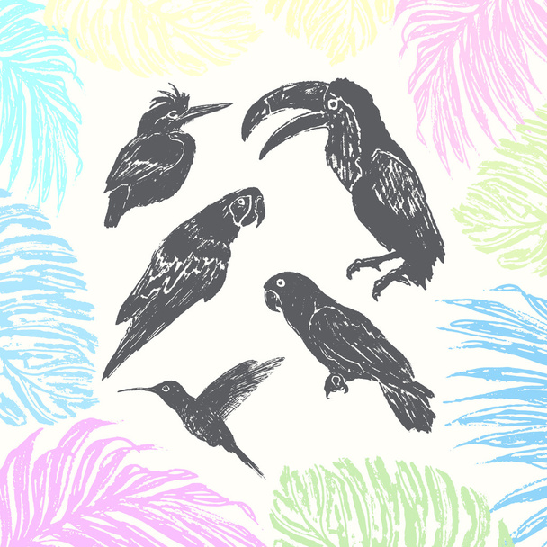 Ink hand drawn birds - Vector, Image